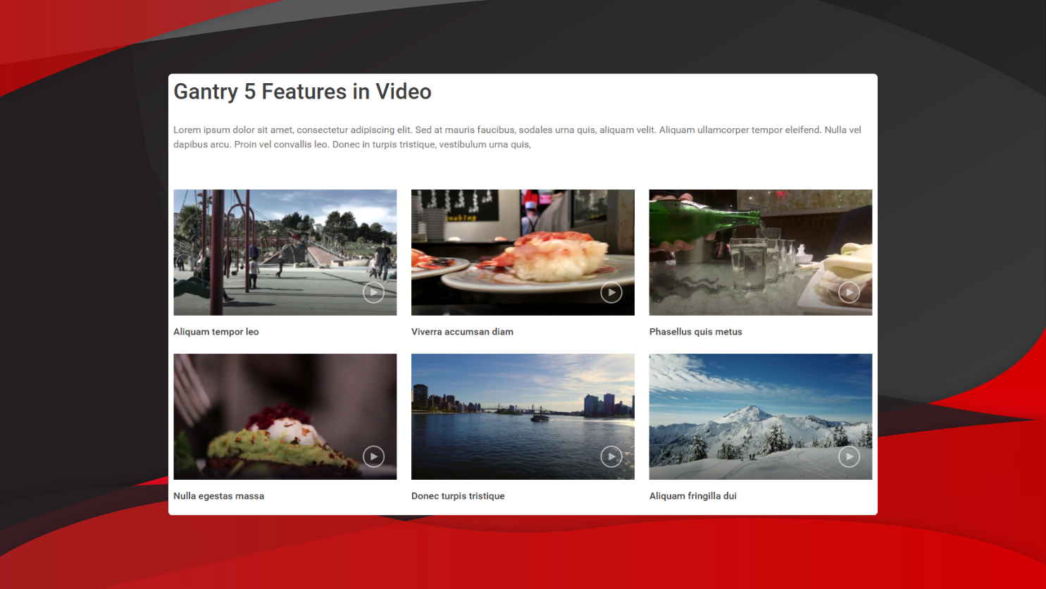 Video Gallery 1 - demo
