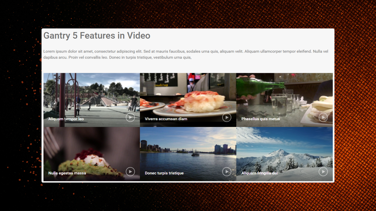 Video Gallery 1 - demo